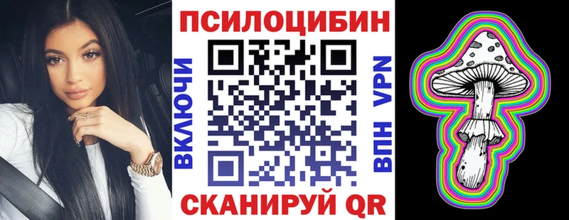 где найти наркотики  Нижнекамск  Псилоцибиновые грибы мицелий 